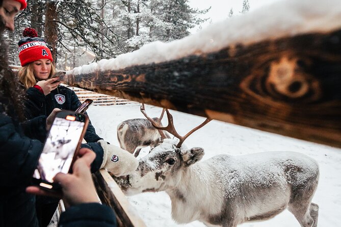 1 Day Pass Lapland Winter Park in Rovaniemi - Skiing, snowshoeing, and ice skating with included equipment