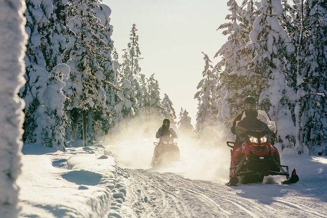 1 Hour Easy Snowmobile Safari in Levi - The ride itself, forests, frozen lakes, and photo stop pacing