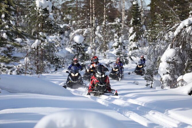 1-Hour Snowmobile Safari Adventure in Rovaniemi - The guided snowy ride: what the 1-hour safari feels like