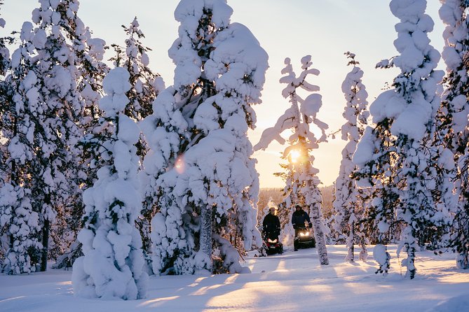 1-Hour Snowmobile Safari Experience - Why this 1-hour driving safari feels built for beginners