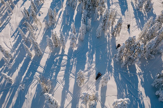 1-Hour Snowmobile Safari Experience - What you’ll actually see: cabins, forest tracks, and photo moments