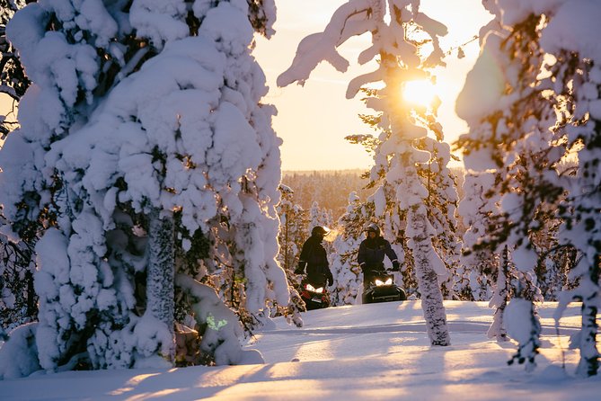 1-Hour Snowmobile Safari Experience - The ride plan: from 200 meters on foot to an hour in the Arctic forest