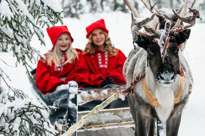 2km Sleigh Ride & Feeding Experience at Traditional Reindeer Farm - Key Highlights You’ll Notice Fast