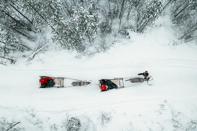 2km Sleigh Ride & Feeding Experience at Traditional Reindeer Farm - The 2 km Sleigh Ride: Cozy, Guided, And Actually Scenic