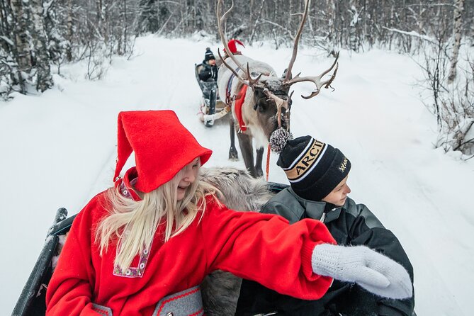 2km Sleigh Ride & Feeding Experience at Traditional Reindeer Farm - Meet The Herder And Understand Sami Reindeer Culture