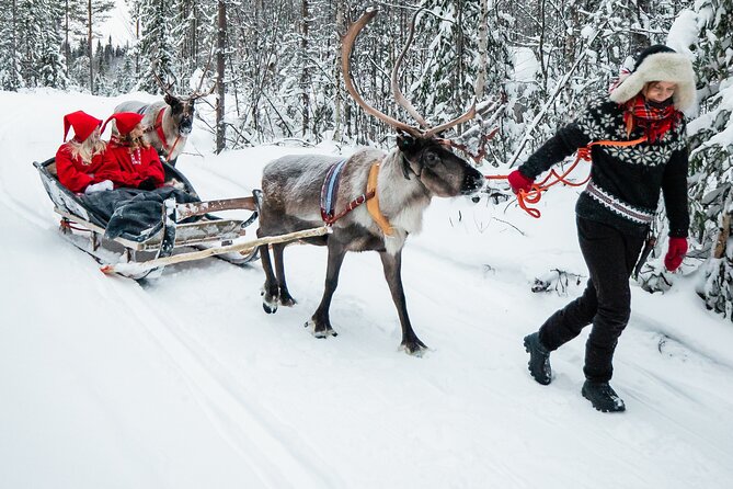 2km Sleigh Ride & Feeding Experience at Traditional Reindeer Farm - Reindeer Feeding And Close-Up Interaction (Plus Photos)