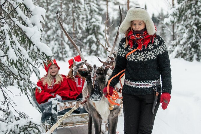 2km Sleigh Ride & Feeding Experience at Traditional Reindeer Farm - What to Pack: Winter Clothing Is Your Job Here