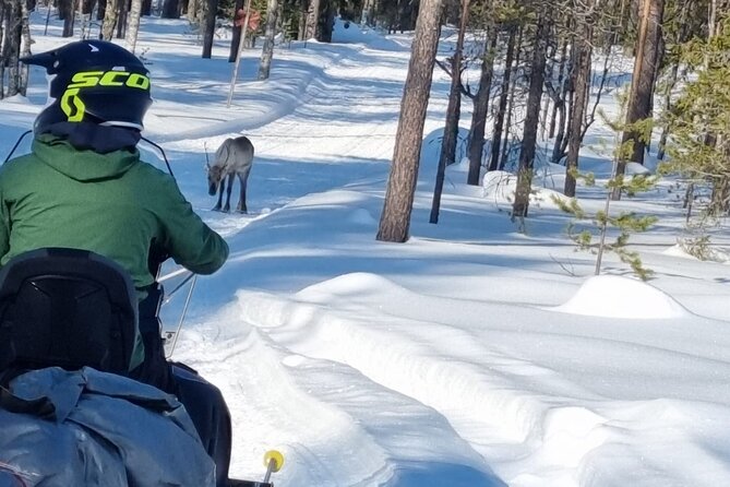 3 Days Raid Snowmobile in Finnish Lapland - Weather and Physical Fitness: The Two Real Limits