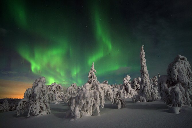 3-h Northern Light Safari by Snowmobiles From Levi - Why this 3-hour Levi snowmobile aurora safari works