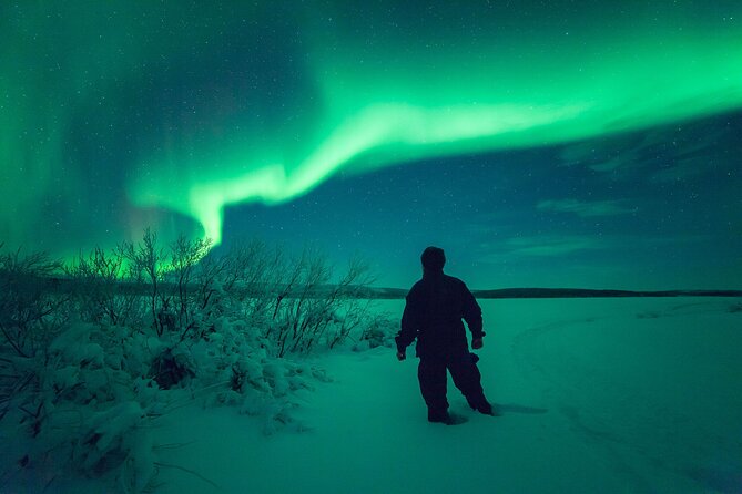 3-h Northern Light Safari by Snowmobiles From Levi - Forest night, stops, and the real meaning of aurora hunting
