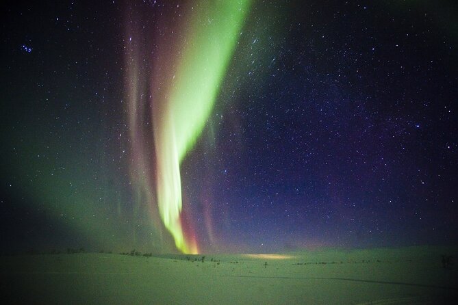 3-h Northern Light Safari by Snowmobiles From Levi - Bonfire in the woods: hot tea, grilled sausages, and why it matters