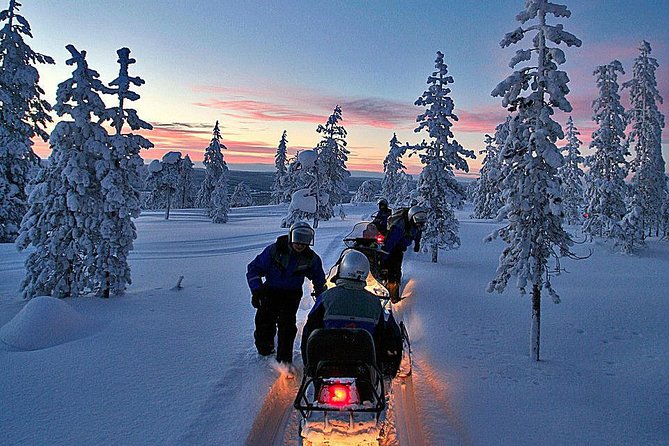 3-h Northern Light Safari by Snowmobiles From Levi - Family-friendly setup for kids and first-timers