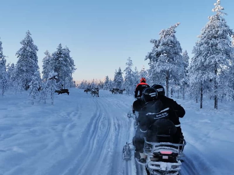 3-hour snowmobiling adventure in Levi - Why 3 hours in Levi feels like more than a quick spin