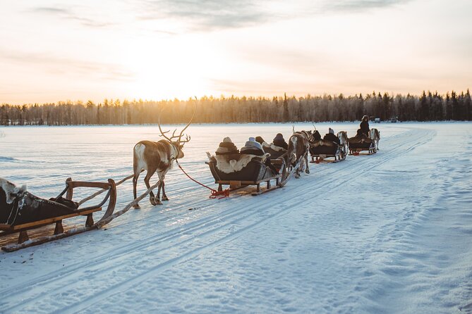 Apukka Reindeer Journey - Rovaniemi Reindeer Sleigh Ride, what you’re really paying for