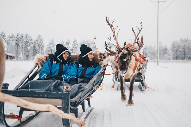 Apukka Reindeer Journey - The kota warmth stop: hot drinks and biscuits to reset