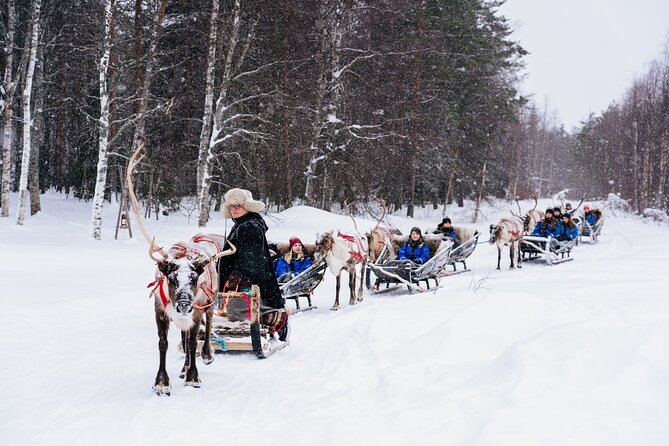 Apukka Reindeer Journey - Getting there from the city center and Santa Claus Village