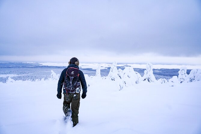 Arctic Adventure through Magical Frozen Forests of Riisitunturi - The Main Event: A 4-Kilometre Walk Through Snowy Giants