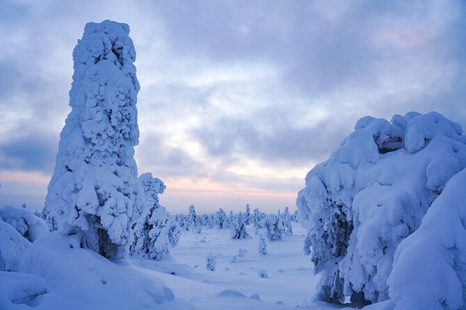 Arctic Adventure through Magical Frozen Forests of Riisitunturi - Small Group Energy: Max 8 Travellers, English, and Real Personal Space