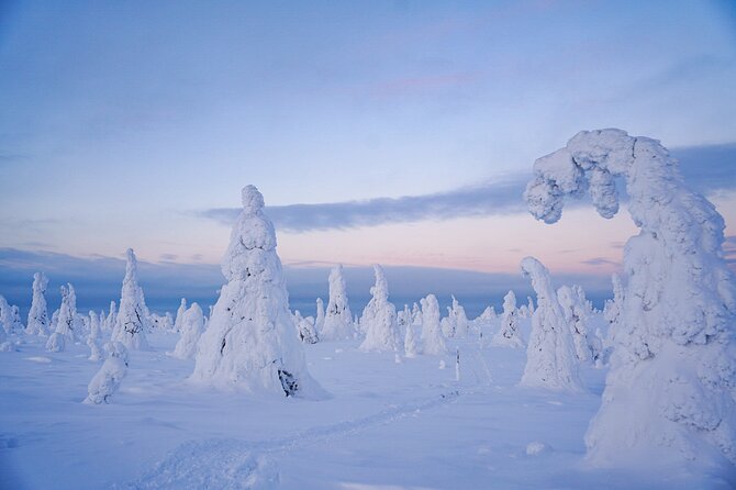 Arctic Adventure through Magical Frozen Forests of Riisitunturi - Tips To Make Your Day More Enjoyable