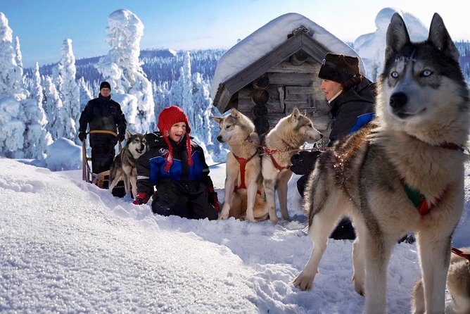 Arctic Circle Family Day - Who This Fits Best, and Who Might Want Another Option