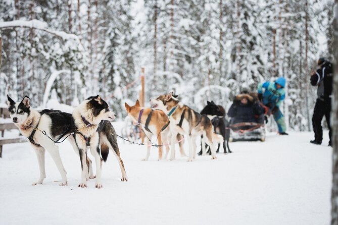 Arctic Circle Highlights Family Day - City-center pickup and winter clothes: why this saves the day