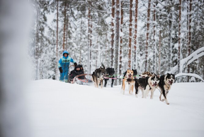 Arctic Circle Highlights Family Day - Timing and what to pack for a cold-weather day