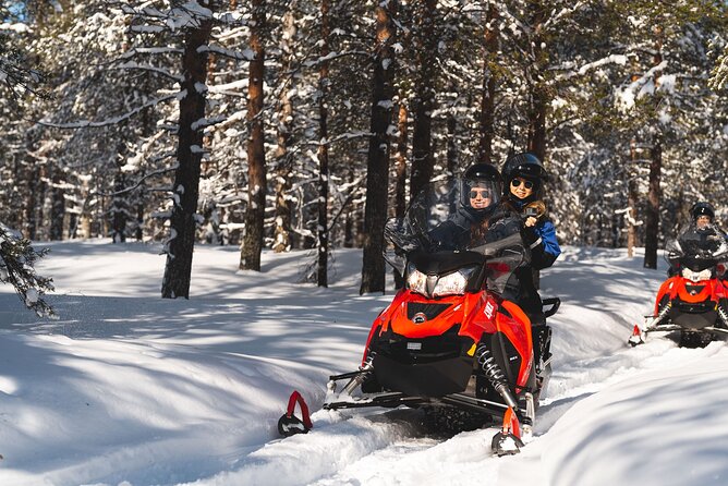 Arctic Circle Snowmobile Safari for Beginners in Rovaniemi - Driving rules, shared snowmobiles, and how driver swapping works