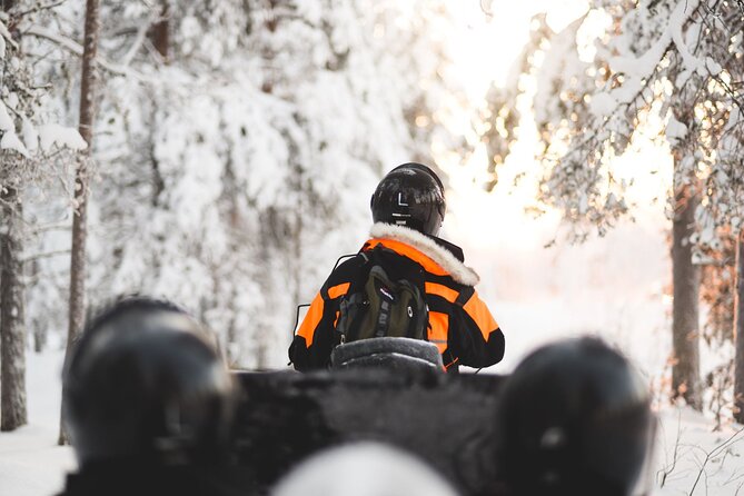 Arctic Circle Snowmobile Safari for Beginners in Rovaniemi - What the Arctic snow country feels like at 10 km/hr