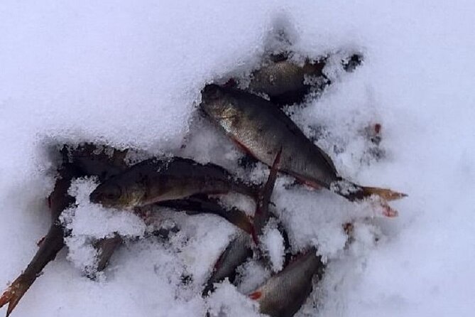 Arctic Day with Ice Fishing and Floating - Stop 1: Nordic Unique Travels, and the professional-led pace