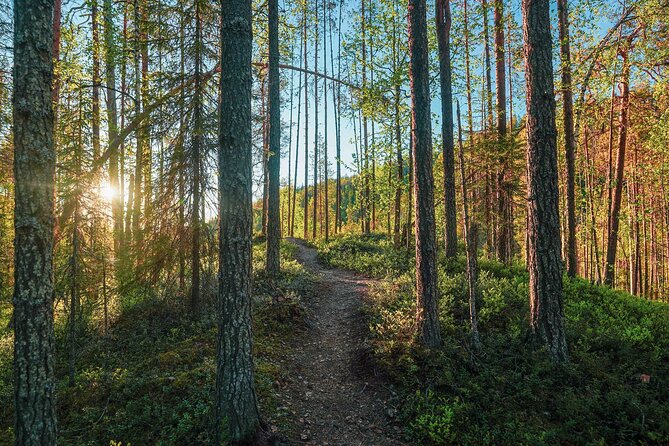 Arctic Wilderness Hike with Fire-making - Should you book this Arctic Wilderness Hike with Fire-making?