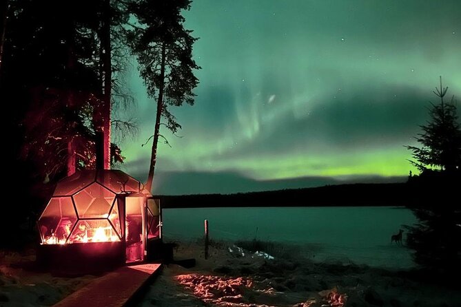 Aurora Borealis Dinner in a Glass Igloo - The glass igloo dinner in Lapland forest, right near Rovaniemi