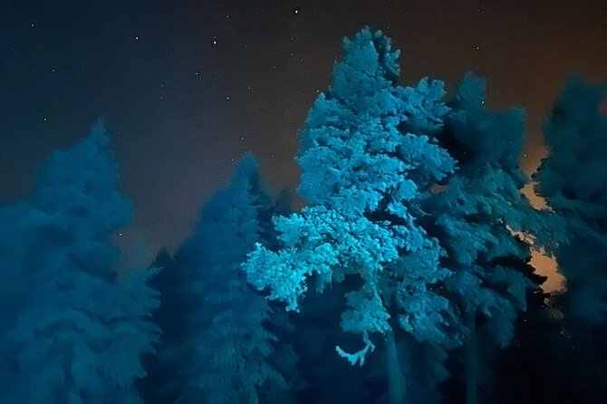 Aurora Borealis Dinner in a Glass Igloo - From pickup to igloo dining: how the 3-hour evening feels