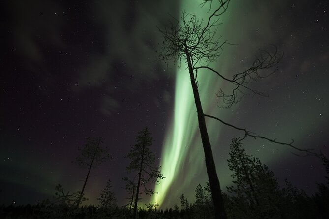 Aurora Borealis Picnic in Rovaniemi - What the “2 hours at Safartica” feels like during the night