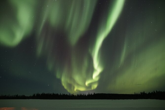 Aurora Borealis Picnic in Rovaniemi - Duration and pace: an efficient 3-hour reset for your trip