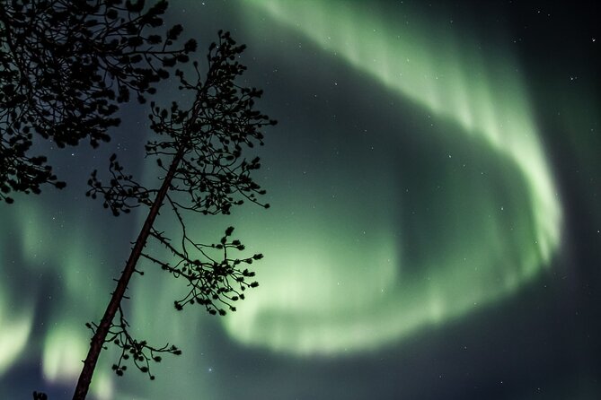 Aurora Borealis Picnic in Rovaniemi - Price and value: what $113.37 buys you in the Arctic Circle
