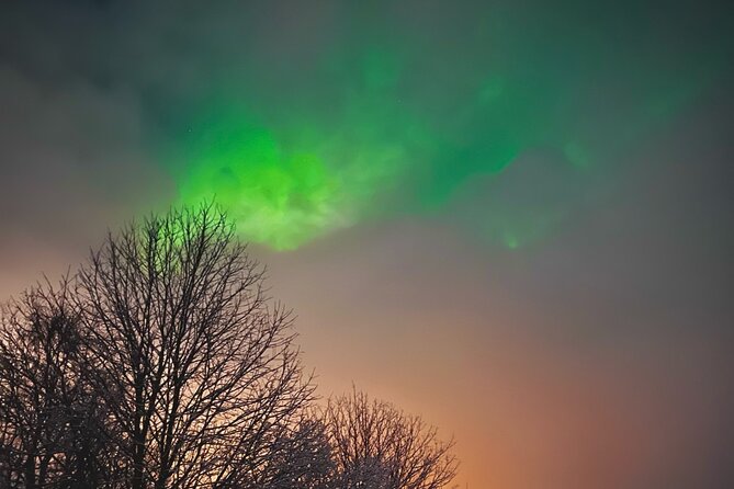 Aurora Hunt with BBQ in Rovaniemi - Aurora Hunt Basics: 8:00 PM pickup, 3 hours, and a max of 24
