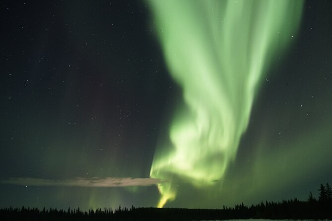 Aurora Hunting Photo Tour from Rovaniemi with Pickup - Pickup, Small Group Size, and Timing That Actually Matters