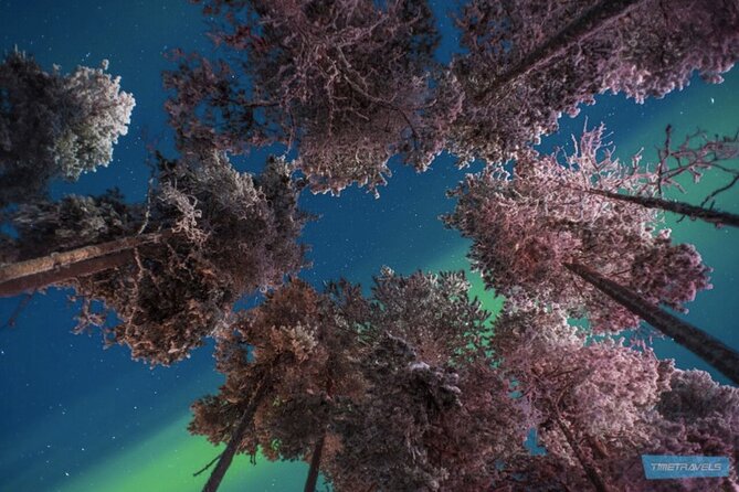 Aurora Photography Tour 3 HOURS - Photography Help That Feels Practical, Not Just Theoretical