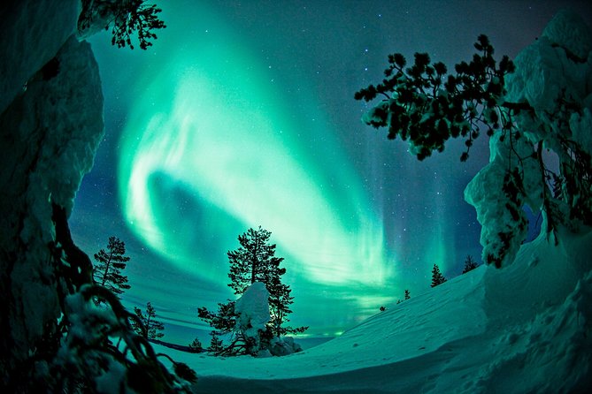 Auroras in Saariselkä – Northern Lights Photo Tour by Car and on Foot - Who This Tour Fits Best (And Who Might Prefer Another Plan)