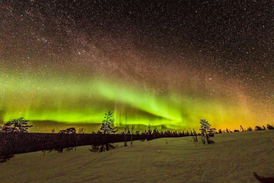 Auroras Northern Lights in Saariselka - Food, Drinks, and Comfort That Keep You Watching