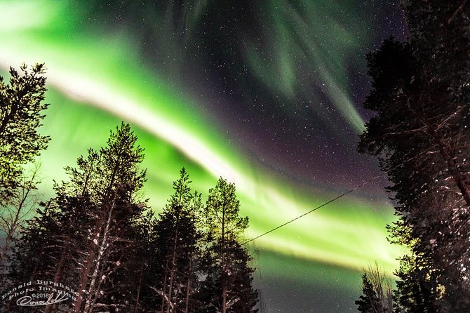 Auroras - Northern Lights Tours by Aurora Experts - Rovaniemi - Key highlights you will care about