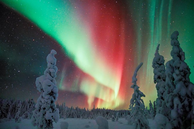 Auroras - Northern Lights Tours by Aurora Experts - Rovaniemi - The late-night plan: why 11 to 12 PM is the sweet spot