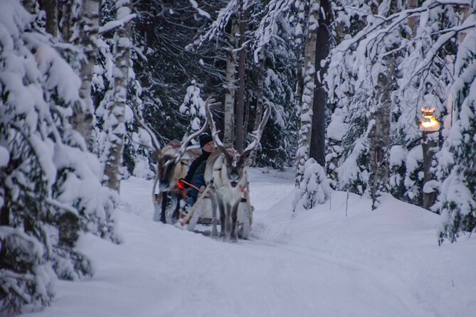 Authentic Reindeer Farm Experience in Rovaniemi - Your 400 m sleigh ride: fun practice, not a full safari