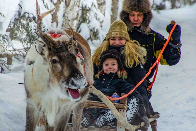 Authentic Reindeer Farm Experience in Rovaniemi - Price and value: what $120.15 buys you in real terms