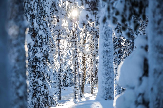 Backcountry skiing adventure - Weather, comfort, and the only real catch