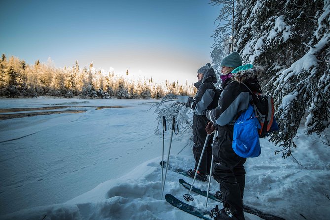 Backcountry skiing adventure - Getting to the forest: minivan, wooden shelter, and campfire sausages