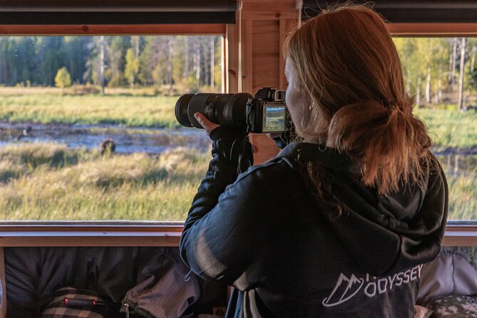Bear and Arctic Animals 2 Day Trip from Rovaniemi - Polar dogs in a family-sized kennel, what to watch for