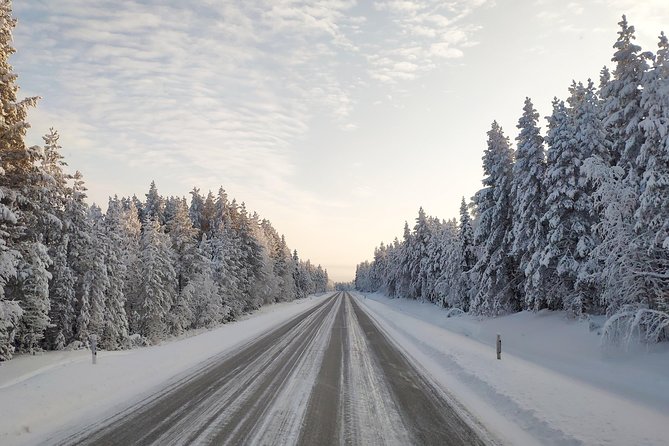 Best Of Lapland: Sauna, Ice swimming, Dinner & Northern Lights - Northern Lights chance: when to go, and what to expect