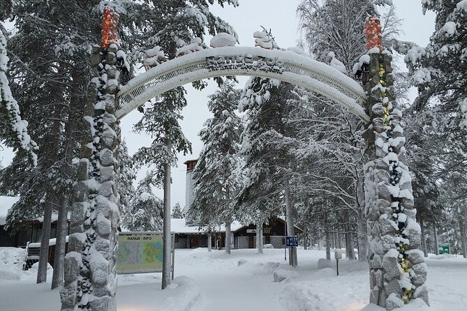 Bus to Ranua Zoo from Rovaniemi - Comfort and Service: Small Details That Add Up