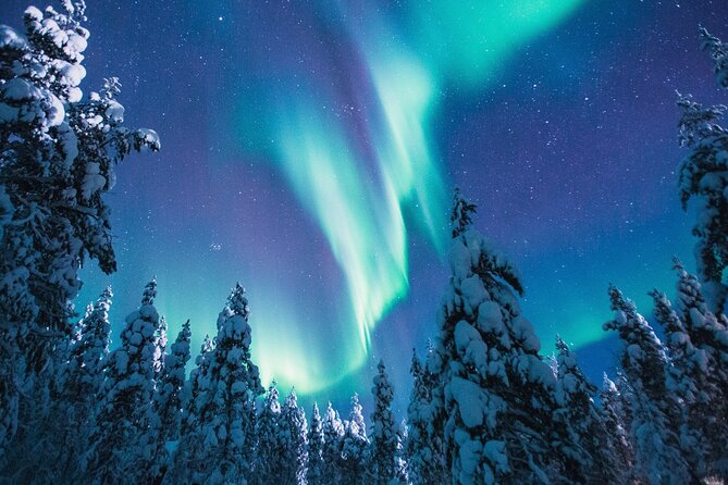 Bus Tour with Hunting Northern Lights - Northern Lights Hunting From Rovaniemi, Without Stress